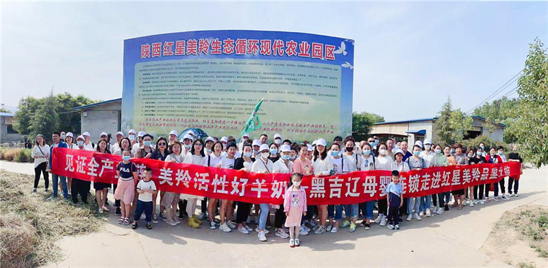 图片7.jpg