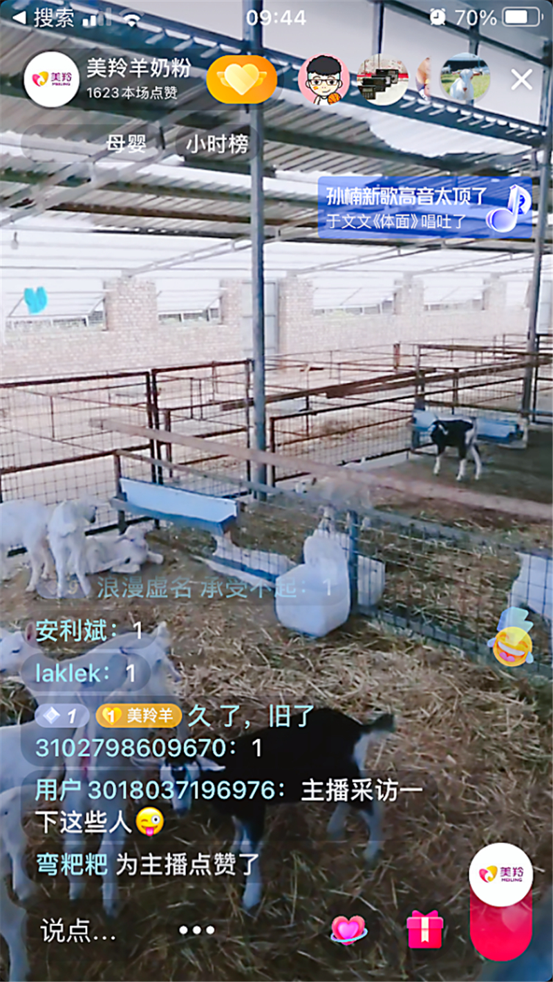 图片9.jpg