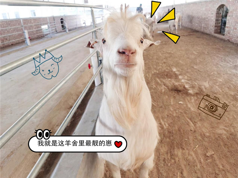 图片6.jpg
