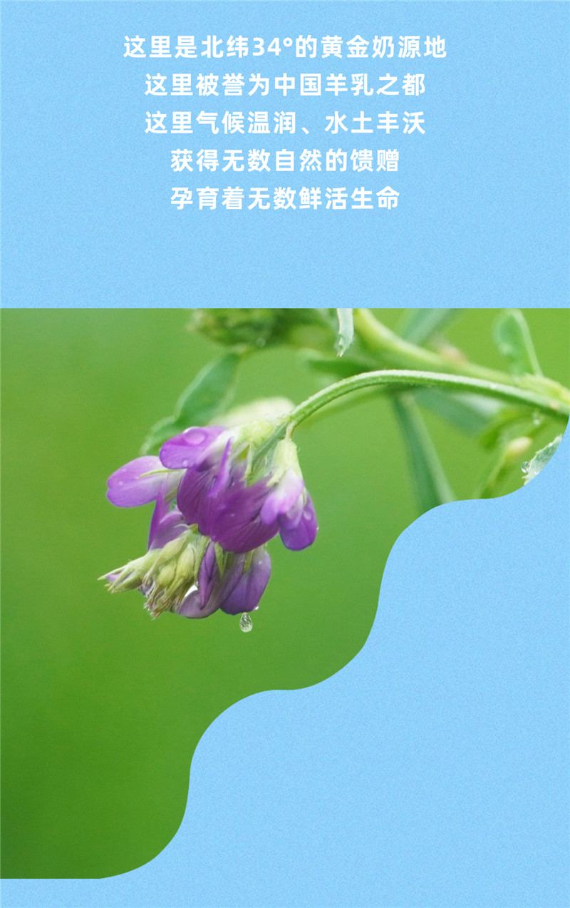 稿定设计-2.jpg