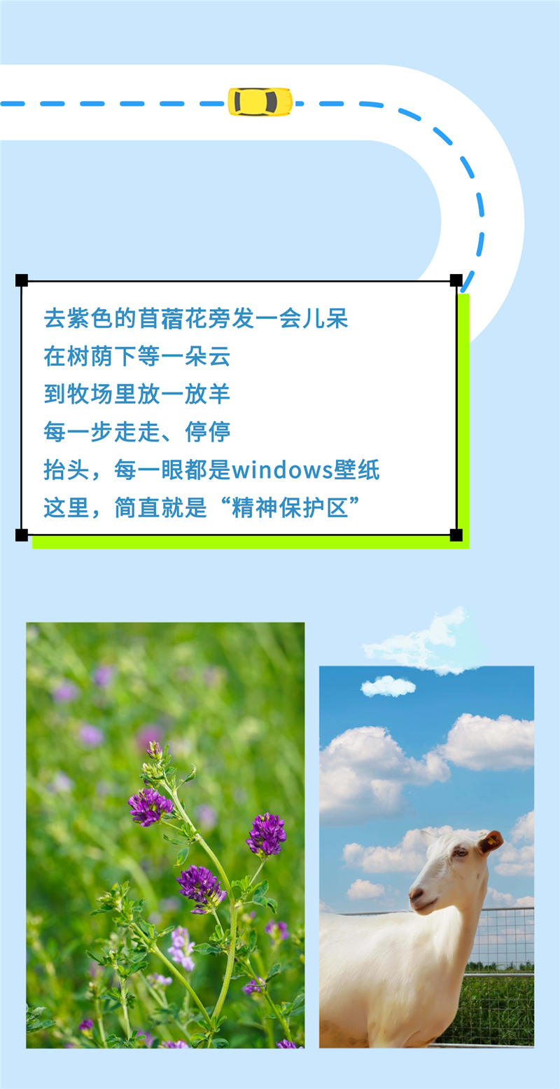 稿定设计-3.jpg