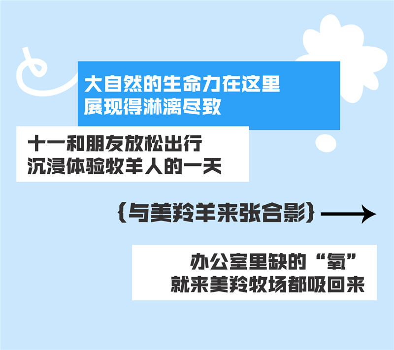 稿定设计-12.jpg