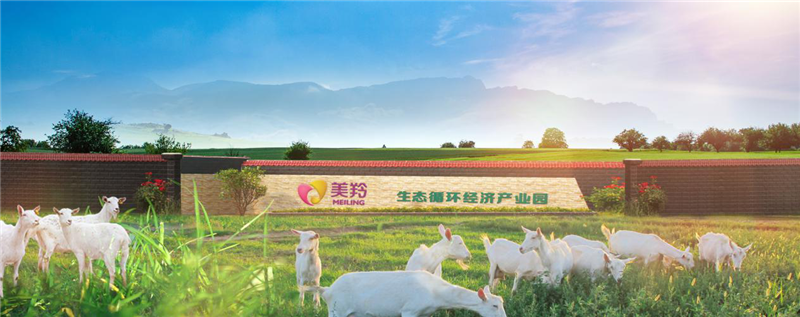 1575510028868062.png 01.png