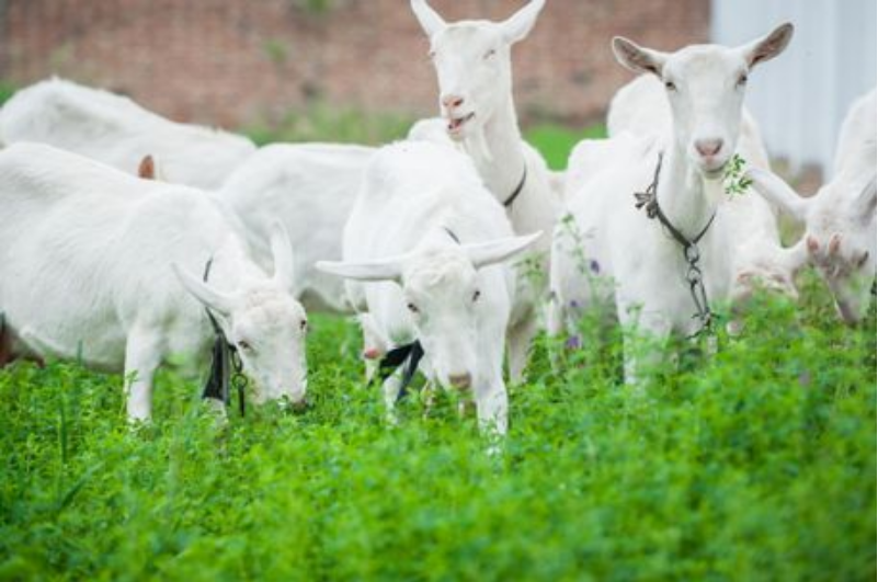 1575510055953482.png 图片.png