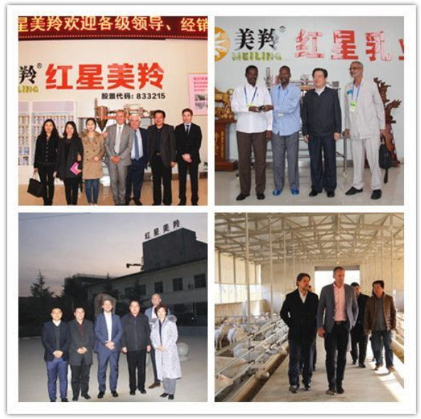 1575510149492634.png 图片.png