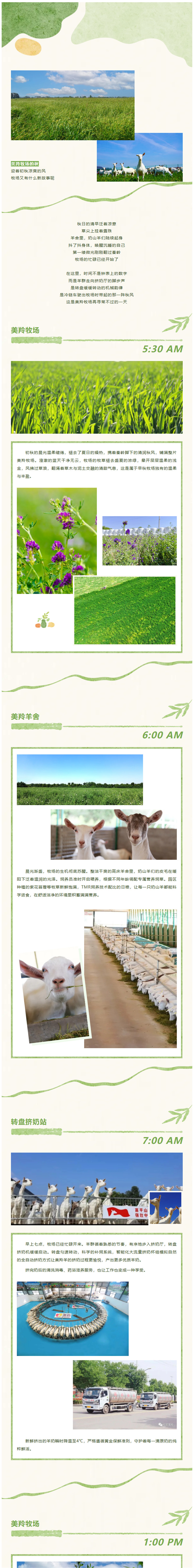 微信图片_2026-09-01_160849_854.jpg
