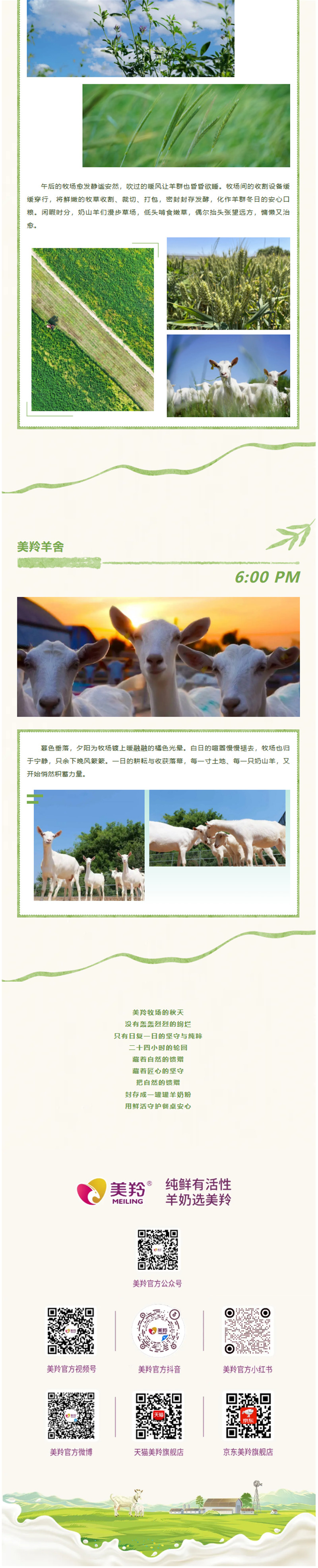 微信图片_2026-09-01_160858_007.jpg
